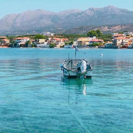Κατοικία 80 Τ.Μ. Δίπλα Από Την Θάλασσα Στην Ελιά. إيليا لاكونياس المظهر الخارجي الصورة